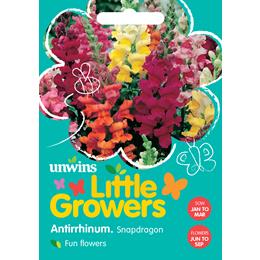 Little Growers Antirrhinum Snapdragon 