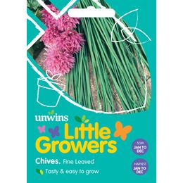 Little Growers Chives Fine Leaved