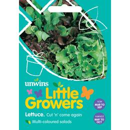 Little Growers Lettuce Cut n' come again