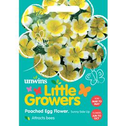 Little Growers Poached Egg Flower Sunnyside 