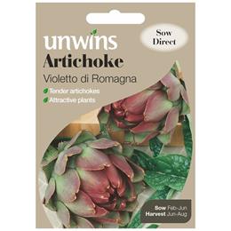 Artichoke Violetto di Romagna
