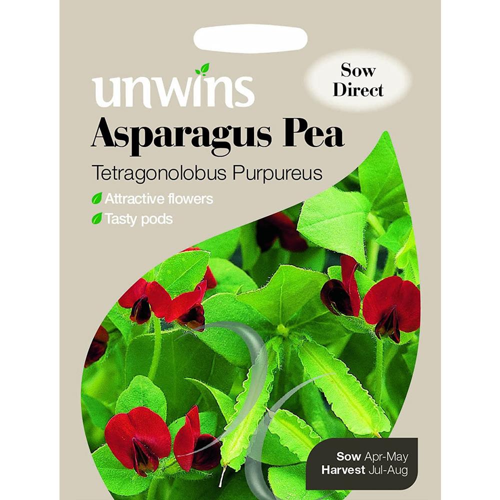 Asparagus Pea Tetragonolobus Purpureus