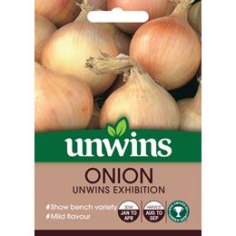 Onion Unwins Exhibition