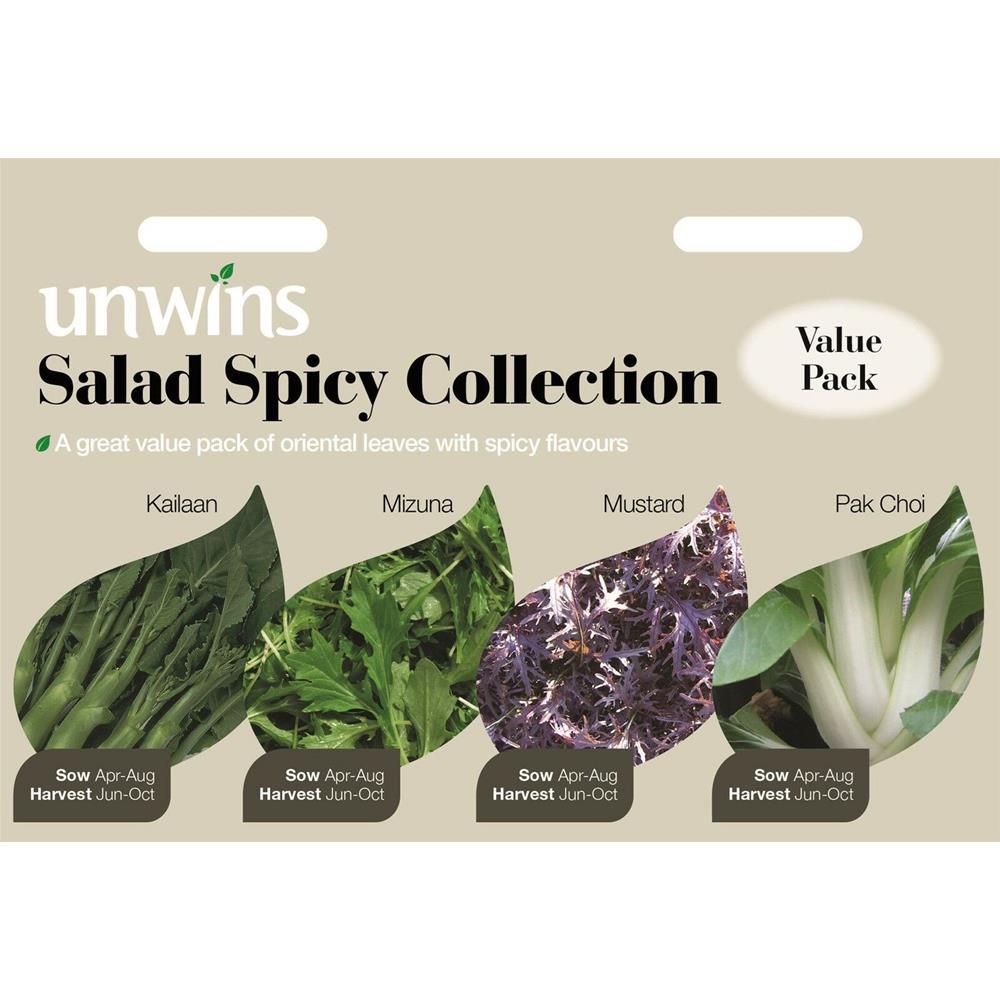 Salad Spicy Collection Pack