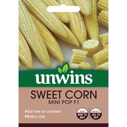 Sweet Corn Mini Pop F1