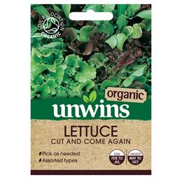 Lettuce (Leaves) Cut And Come Again (Organic)                               