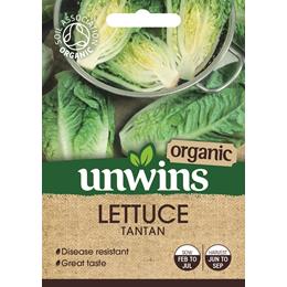 Lettuce (Cos) Tantan (Organic)                              