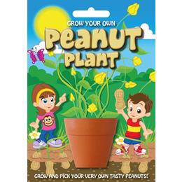Fun Seeds-Peanut Plant