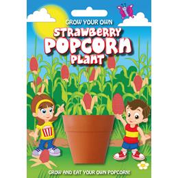 Fun Seeds-Strawberry Popcorn Plant