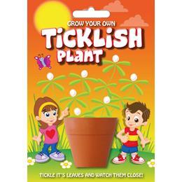 Fun Seeds-Ticklish Plant