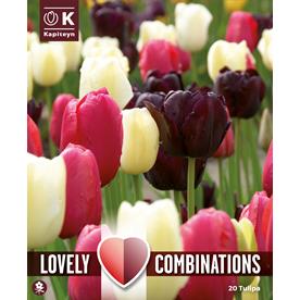 Combi Tulip Late Black, Pink & White