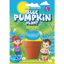 Fun Seeds-Blue Pumpkin