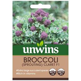 Broccoli (Sprouting) Claret F1