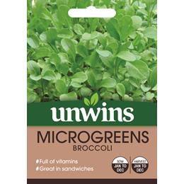 Microgreens Broccoli