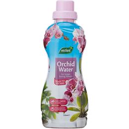 Orchid Water Rtu 720ml