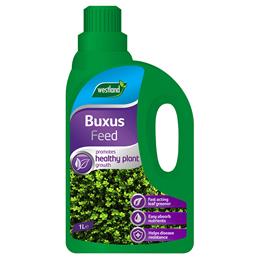 Buxus Feed Concentrate 1l