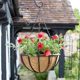 16in Forge Hanging Basket