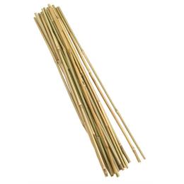 BAMBOO CANES 1.2M BUNDLE OF 20