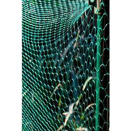Garden Net Protection 6x4m