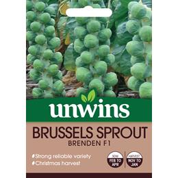 Brussels Sprout Brenden F1