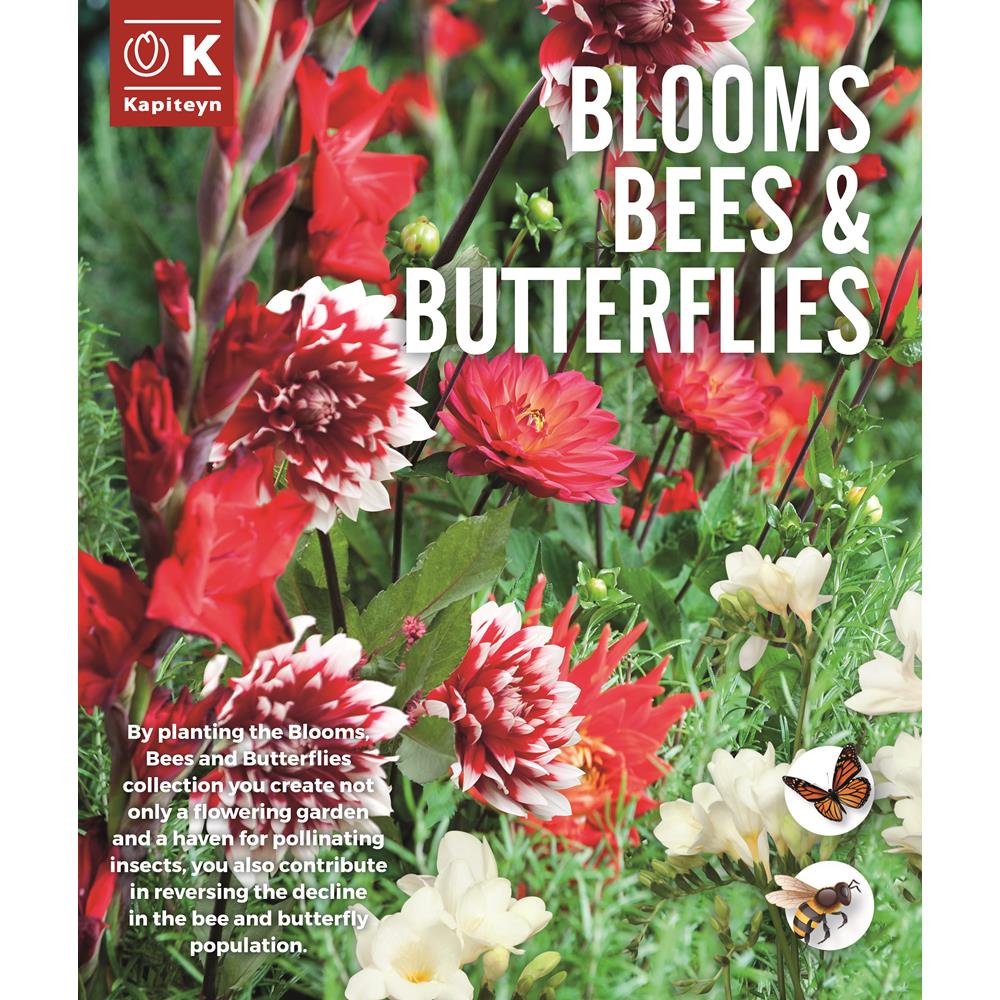 BBB3340 BLOOMS, BEES & BUTTERFLIES RED- WHITE