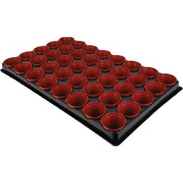 SEED&CUTTING TRAY WITH 40 POTS