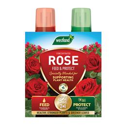 Rose 2 in 1 Feed & Protect