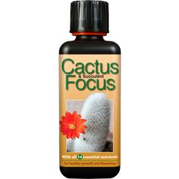 Cactus & Succulent Focus