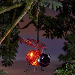 Firefly String Lights - 100 Multi Coloured LEDs