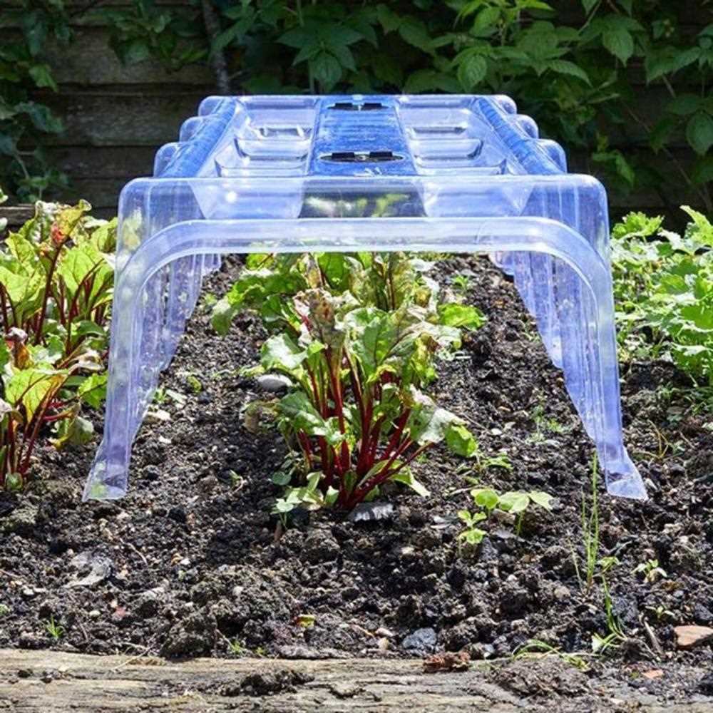 Cloches and grow zones