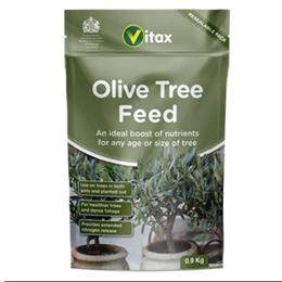 VITAX OLIVE TREE FRTLSR (PCH)