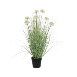 PLC Grass With Allium Flower 