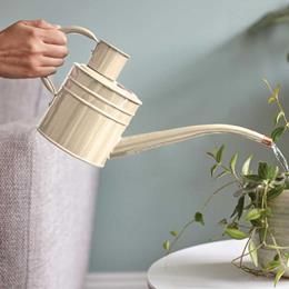Watering Can Ivory (Home & Balcony)