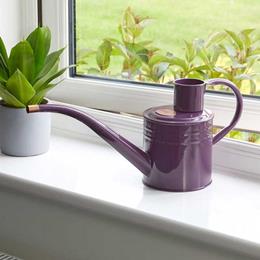 Watering Can Violet (Home & Balcony)
