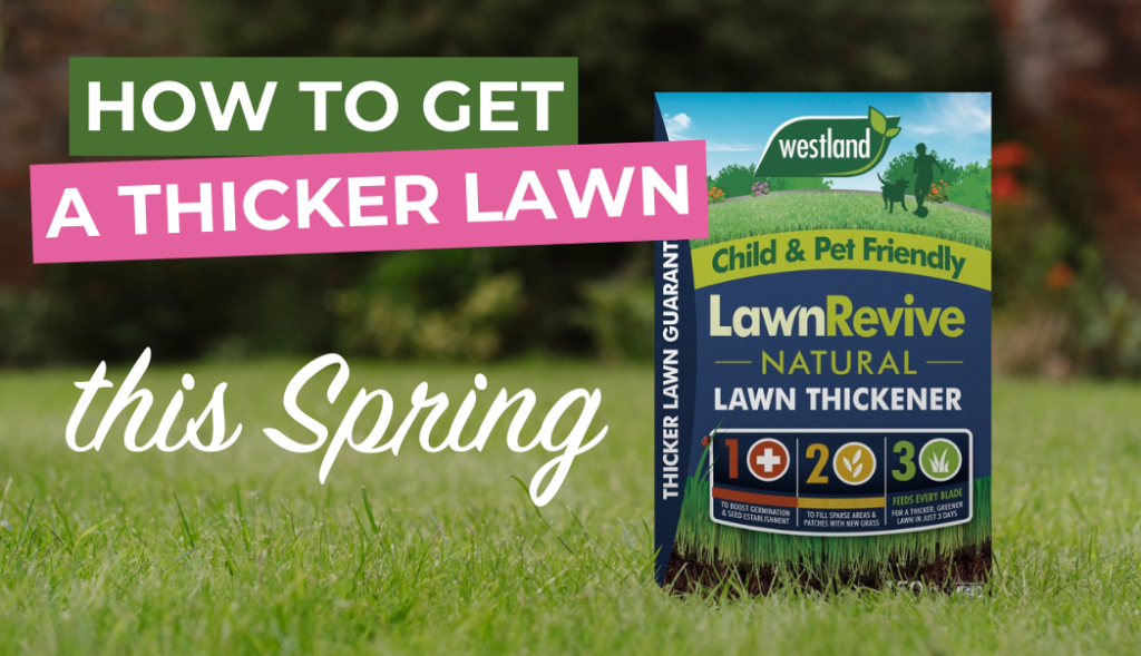 how-to-get-a-thicker-lawn-this-spring