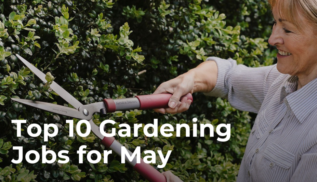 Top 10 Gardening Jobs for May